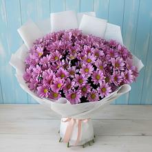 Букет цветов из:  Хризантемы в Адамий