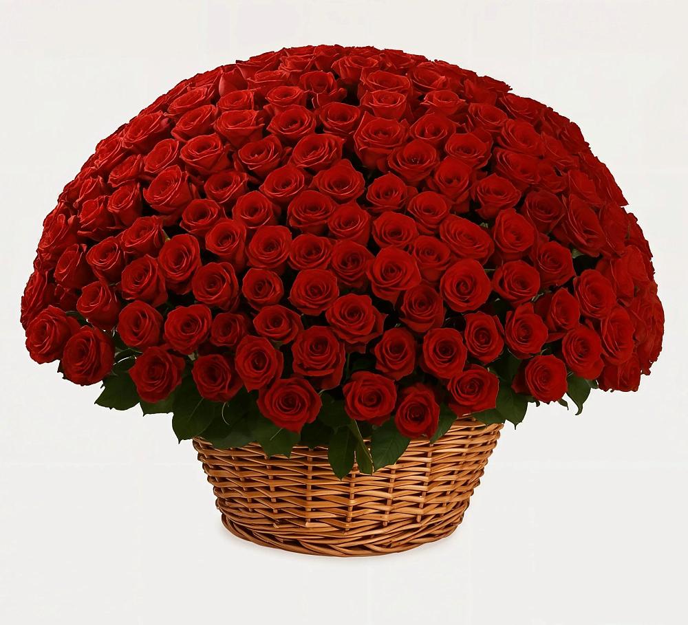 251 Премиум красная роза в Адамий Премиум букет из: Розы в Адамий